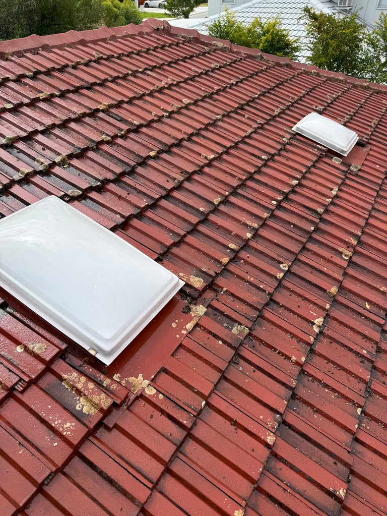 Red tile roof with two white skylight covers and metal framing visible from above