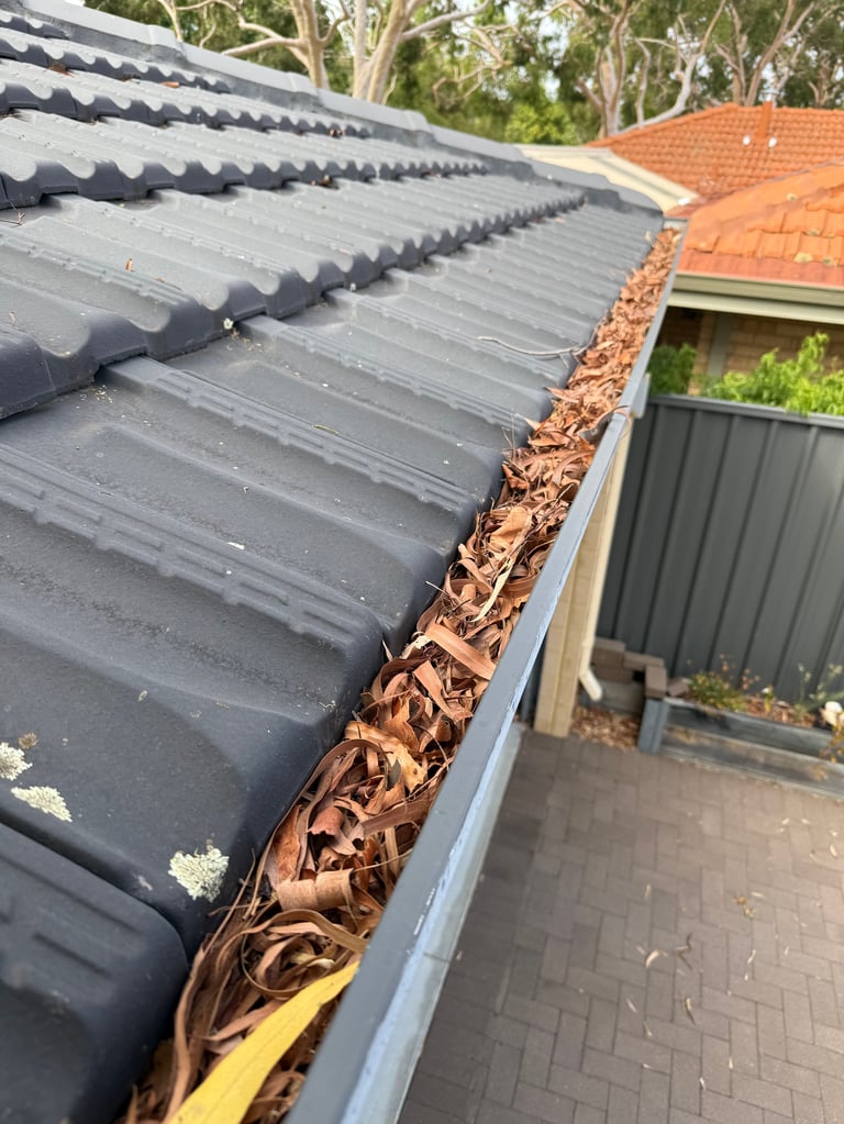 Roof gutters clogged with dried leaves and debris