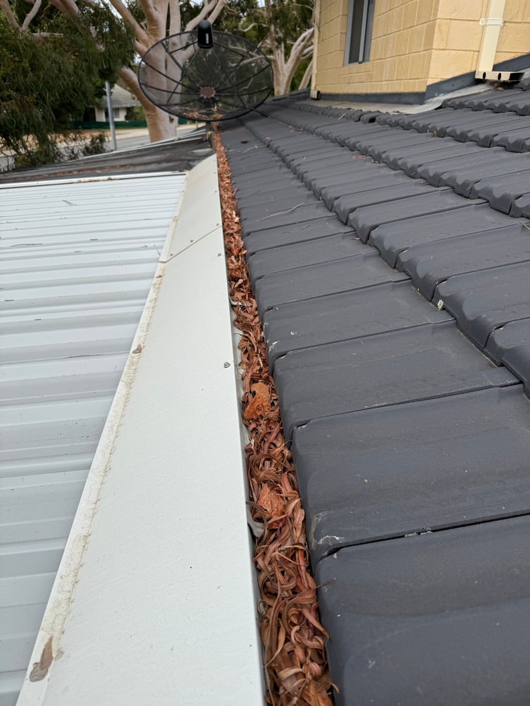 Roof gutter filled with brown leaves and debris, showing the junction between white and dark gray roof tiles with a house and tree in the background