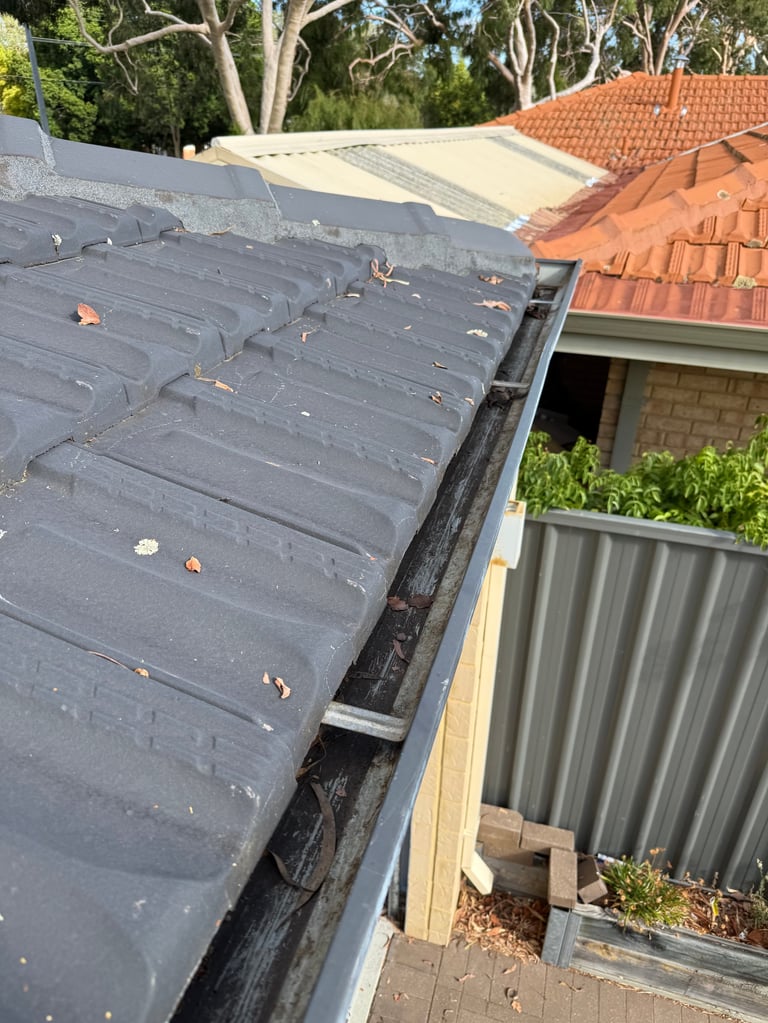 Clean roof gutters after professional cleaning