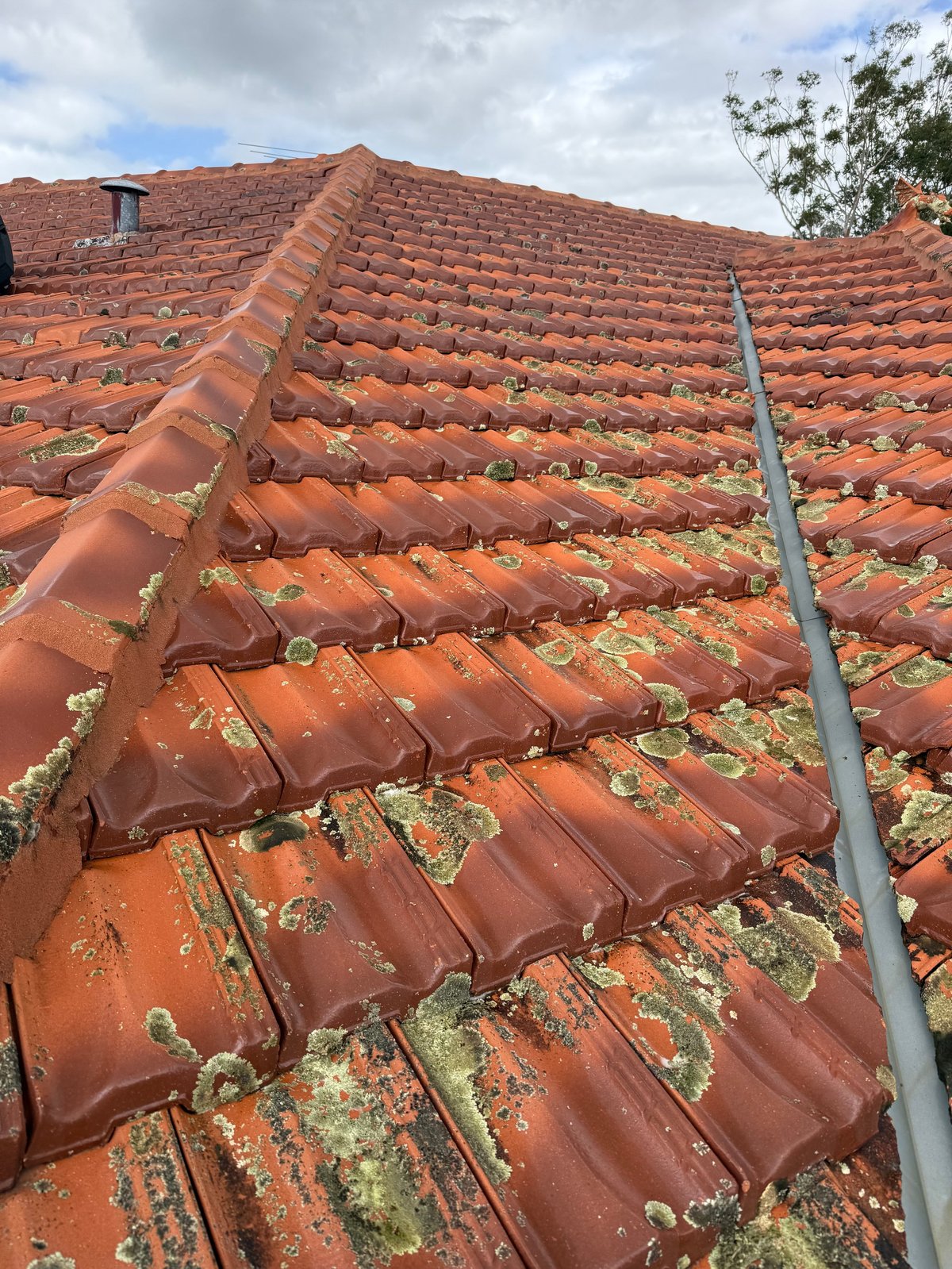 Close-up of a red clay tile roof with moss and lichen growth, metal gutter visible, cloudy sky above