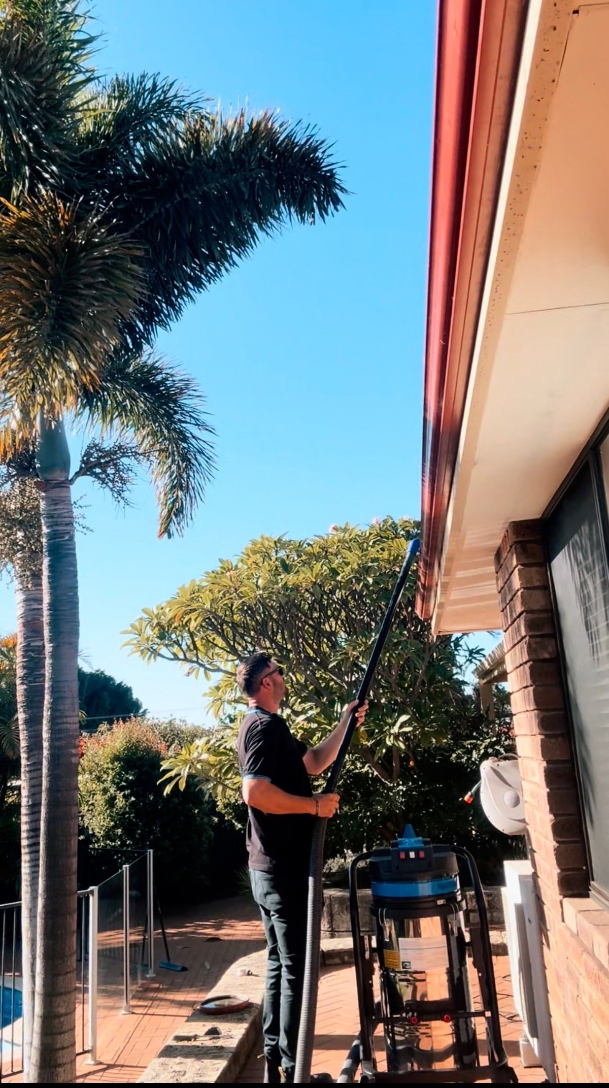 Person holding a long pole or cleaning tool on a brick patio with palm trees and clear blue sky