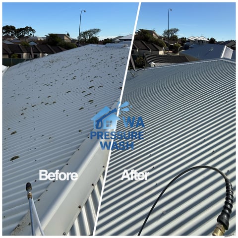 Before and after roof cleaning