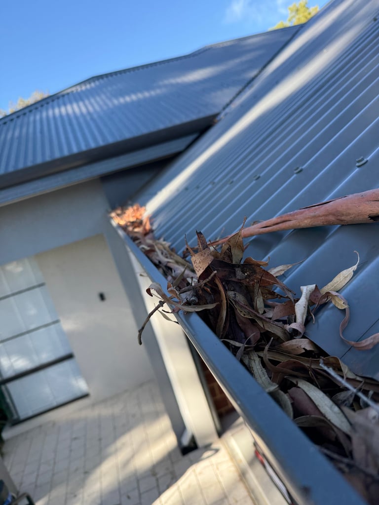 Debris and leaves clogged in a residential gutter attached to a blue metal roof